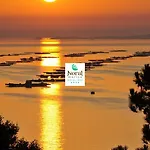 Hotel Norat Marina & 4* Superior 4*