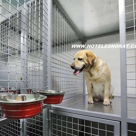 فندق Norat Marina & 4* Superior 4*